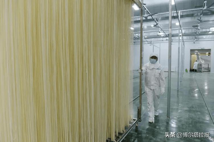 筑牢民生基石 稻谷小麥玉米大豆平穩運行，重要農產品零售市場穩中向好